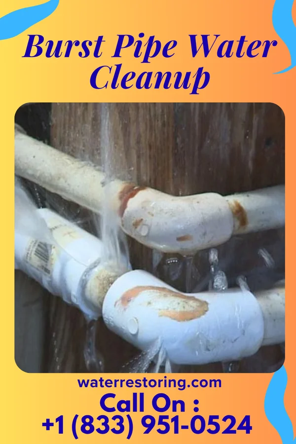 Burst Pipe Water Cleanup in White Bird, ID