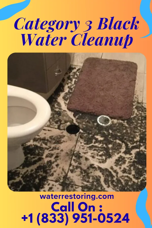 Category 3 Black Water Cleanup in White Bird, ID