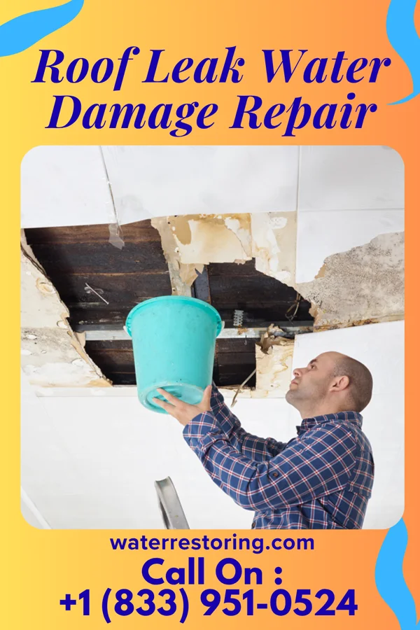 Roof Leak Water Damage Repair in White Bird, ID